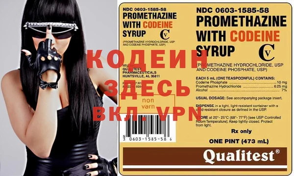 молекула духа Алзамай