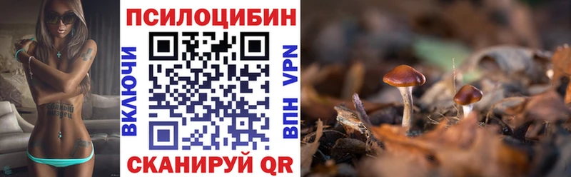 Галлюциногенные грибы мухоморы  Йошкар-Ола 